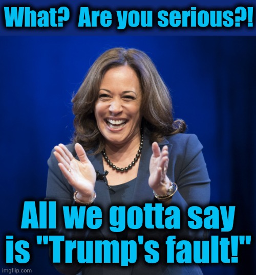 Kamala Harris laughing | What?  Are you serious?! All we gotta say
is "Trump's fault!" | image tagged in kamala harris laughing | made w/ Imgflip meme maker