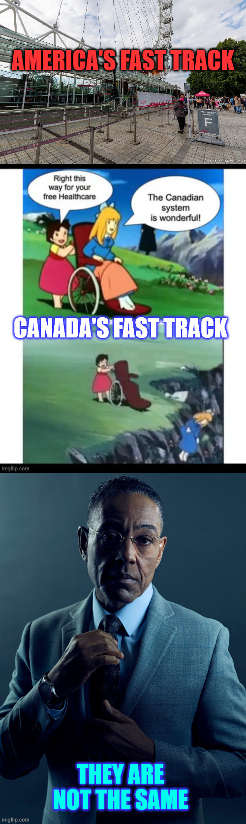 They are not the same | AMERICA'S FAST TRACK; CANADA'S FAST TRACK; THEY ARE NOT THE SAME | image tagged in we are not the same,fast track | made w/ Imgflip meme maker
