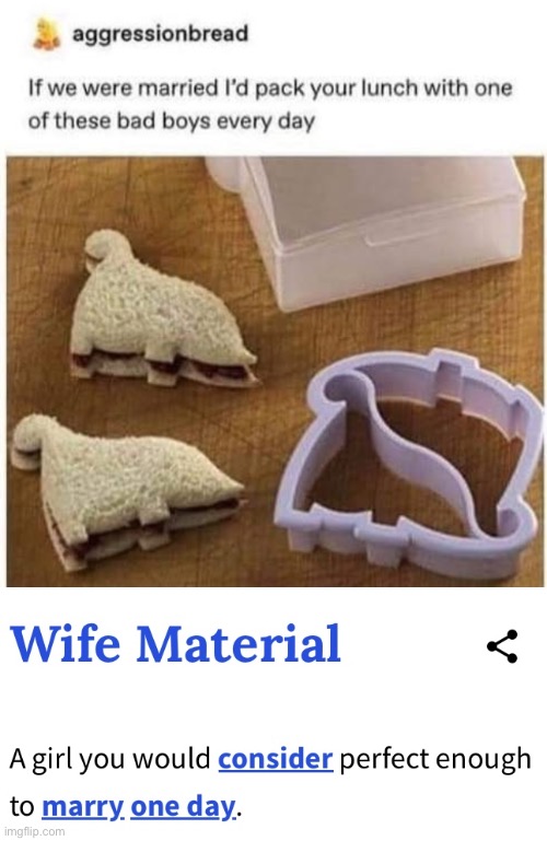 Wife material | image tagged in wife material,snacks,dinosaur,sandwich | made w/ Imgflip meme maker