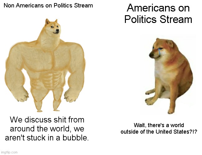 Non Americans vs Americans | Non Americans on Politics Stream; Americans on Politics Stream; We discuss shit from around the world, we aren't stuck in a bubble. Wait, there's a world outside of the United States?!? | image tagged in memes,buff doge vs cheems | made w/ Imgflip meme maker