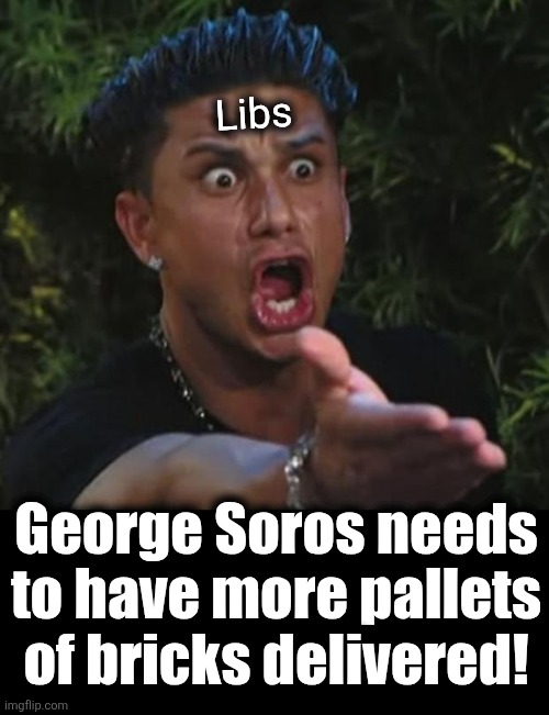 DJ Pauly D Meme | Libs George Soros needs
to have more pallets
of bricks delivered! | image tagged in memes,dj pauly d | made w/ Imgflip meme maker