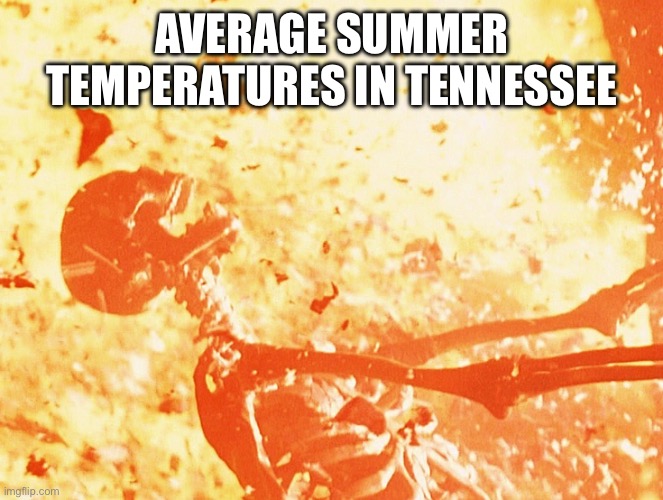 Tennessee summer be like… | AVERAGE SUMMER TEMPERATURES IN TENNESSEE | image tagged in fire skeleton,summer | made w/ Imgflip meme maker
