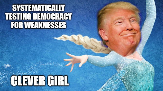 Donald Trump Frozen | SYSTEMATICALLY TESTING DEMOCRACY FOR WEAKNESSES; CLEVER GIRL | image tagged in donald trump frozen | made w/ Imgflip meme maker