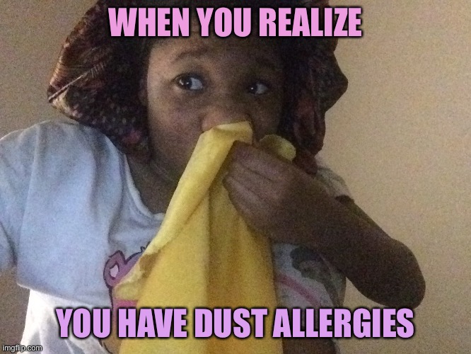 Dust allergies… stay away from dust! | WHEN YOU REALIZE; YOU HAVE DUST ALLERGIES | image tagged in funny meme,funny memes | made w/ Imgflip meme maker