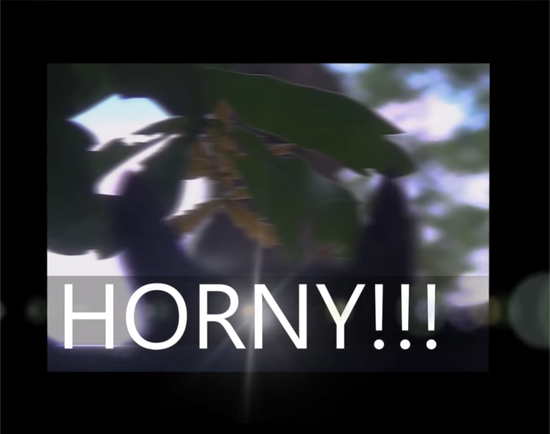 HORNY!!! Blank Meme Template