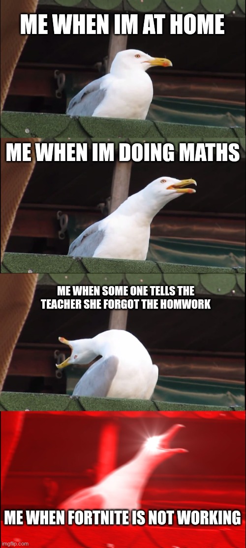 true fact | ME WHEN IM AT HOME; ME WHEN IM DOING MATHS; ME WHEN SOME ONE TELLS THE TEACHER SHE FORGOT THE HOMWORK; ME WHEN FORTNITE IS NOT WORKING | image tagged in memes,inhaling seagull | made w/ Imgflip meme maker