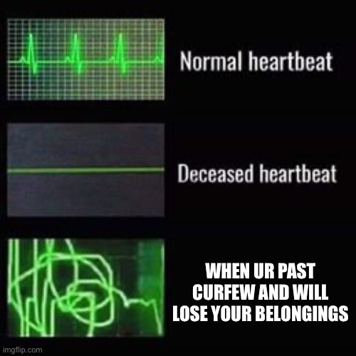 why | WHEN UR PAST CURFEW AND WILL LOSE YOUR BELONGINGS | image tagged in heartbeat rate,uh oh | made w/ Imgflip meme maker