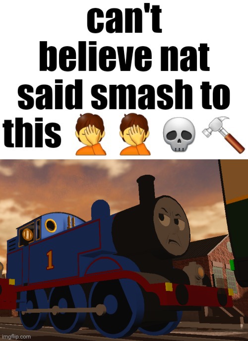 image tagged in cant believe nat said smash to this | made w/ Imgflip meme maker