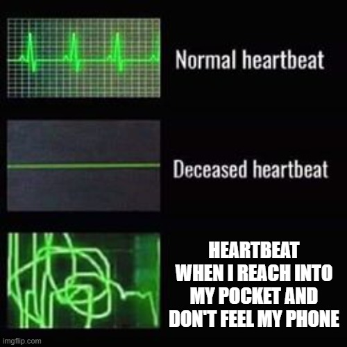 POV 2025 | HEARTBEAT WHEN I REACH INTO MY POCKET AND DON'T FEEL MY PHONE | image tagged in heartbeat rate | made w/ Imgflip meme maker