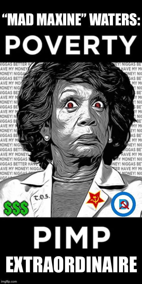 Wherever there’s a crisis she’s there to exploit it… | image tagged in political meme,maxine waters,poverty pimp,demonrat | made w/ Imgflip meme maker