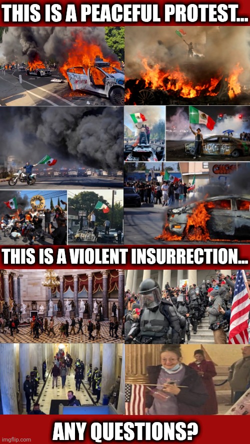 THIS IS A PEACEFUL PROTEST... THIS IS A VIOLENT INSURRECTION... ANY QUESTIONS? | image tagged in protest,violence,peaceful | made w/ Imgflip meme maker