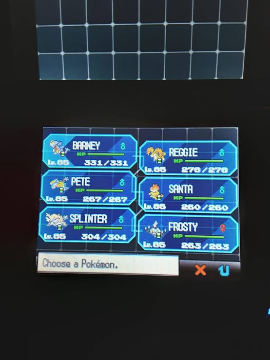 pokemon black team Blank Meme Template