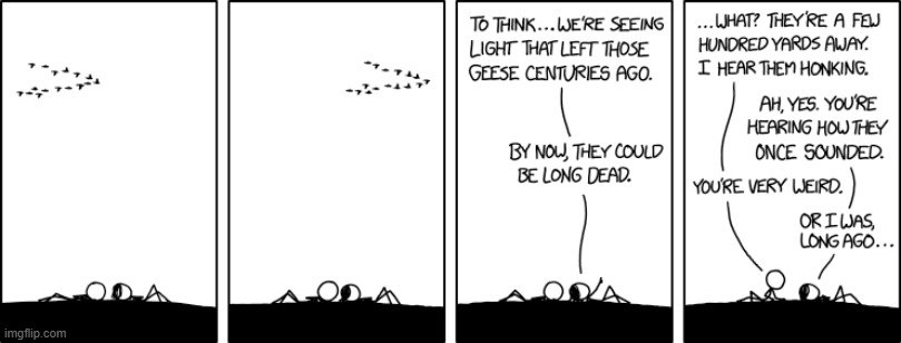 image tagged in bird watching,geese,light years,stars | made w/ Imgflip meme maker