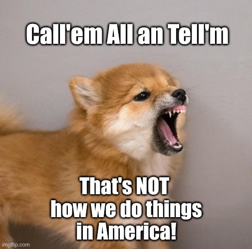 Call'em All Pup | Call'em All an Tell'm; That's NOT 
how we do things
in America! | image tagged in angry pup,call'em all | made w/ Imgflip meme maker
