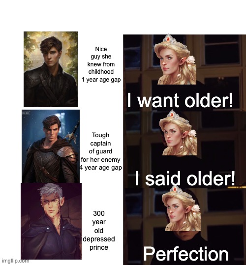 perfection | Aelin's standards for men; Nice guy she knew from childhood

1 year age gap; I want older! Tough captain of guard for her enemy
4 year age gap; I said older! 300 year old depressed prince; Perfection | image tagged in perfection | made w/ Imgflip meme maker