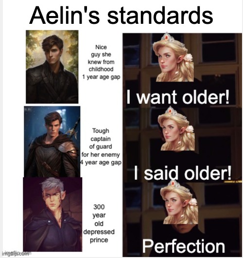 Aelin's standards | made w/ Imgflip meme maker