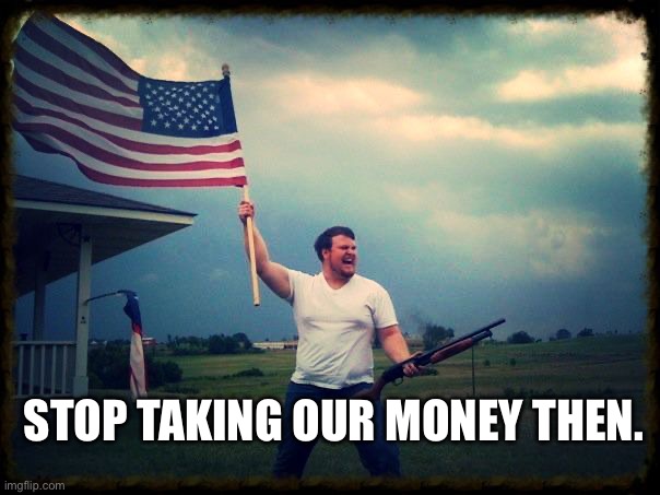 Merica | STOP TAKING OUR MONEY THEN. | image tagged in merica | made w/ Imgflip meme maker