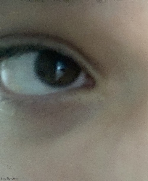 real eye, real lie, realise | image tagged in realise,real eye,sorry | made w/ Imgflip meme maker