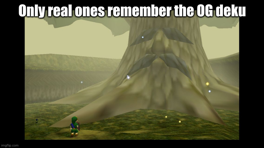 the great deku tree from Zelda | Only real ones remember the OG deku | image tagged in great deku tree,anime,my hero academia,the legend of zelda,zelda,oh | made w/ Imgflip meme maker