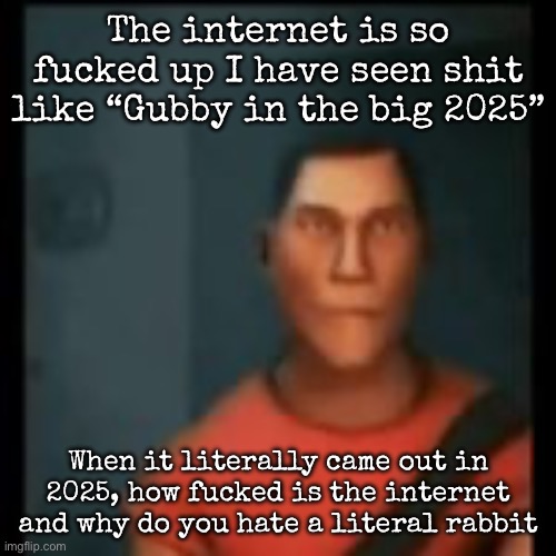 The “In the big 2025” isn’t even a good comeback for an argument | The internet is so fucked up I have seen shit like “Gubby in the big 2025”; When it literally came out in 2025, how fucked is the internet and why do you hate a literal rabbit | image tagged in disappointed scout,msmg | made w/ Imgflip meme maker