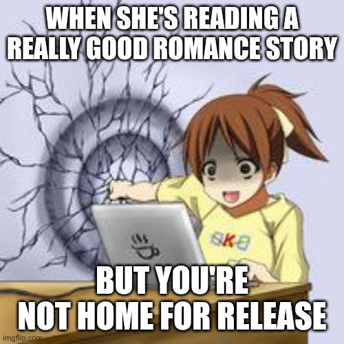Girl needs release | WHEN SHE'S READING A REALLY GOOD ROMANCE STORY; BUT YOU'RE NOT HOME FOR RELEASE | image tagged in anime wall punch | made w/ Imgflip meme maker