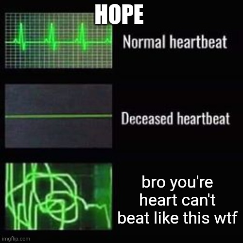 heartbeat rate | HOPE; bro you're heart can't beat like this wtf | image tagged in heartbeat rate | made w/ Imgflip meme maker