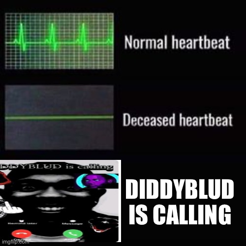 heartbeat rate | DIDDYBLUD IS CALLING | image tagged in heartbeat rate | made w/ Imgflip meme maker