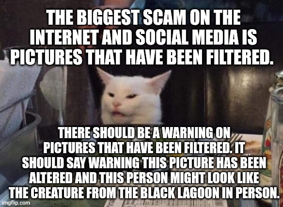 Smudge that darn cat | THE BIGGEST SCAM ON THE INTERNET AND SOCIAL MEDIA IS PICTURES THAT HAVE BEEN FILTERED. THERE SHOULD BE A WARNING ON PICTURES THAT HAVE BEEN FILTERED. IT SHOULD SAY WARNING THIS PICTURE HAS BEEN ALTERED AND THIS PERSON MIGHT LOOK LIKE THE CREATURE FROM THE BLACK LAGOON IN PERSON. | image tagged in smudge that darn cat | made w/ Imgflip meme maker