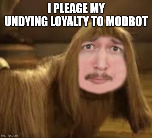 DoogalHere | I PLEAGE MY UNDYING LOYALTY TO MODBOT; IS THAT BETTER? | image tagged in doogalhere | made w/ Imgflip meme maker