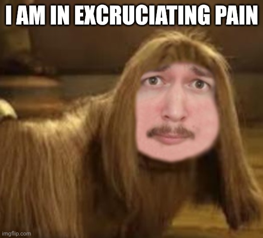 DoogalHere | I AM IN EXCRUCIATING PAIN | image tagged in doogalhere | made w/ Imgflip meme maker