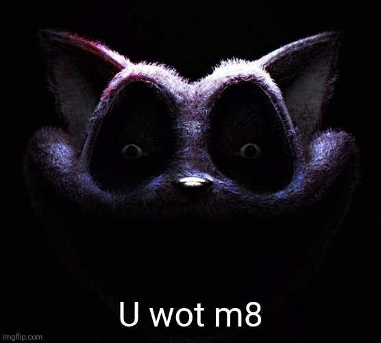 Catnap | U wot m8 | image tagged in catnap | made w/ Imgflip meme maker