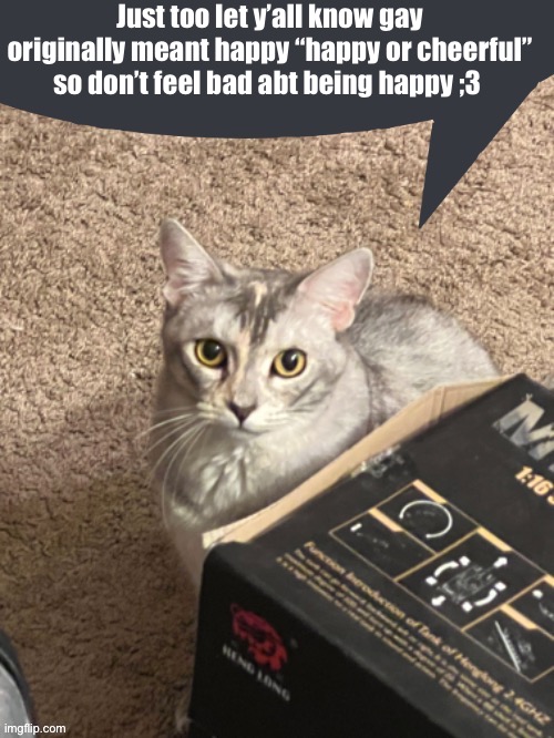 Fun fact :) | Just too let y’all know gay originally meant happy “happy or cheerful” so don’t feel bad abt being happy ;3 | image tagged in cinder speech bubble | made w/ Imgflip meme maker