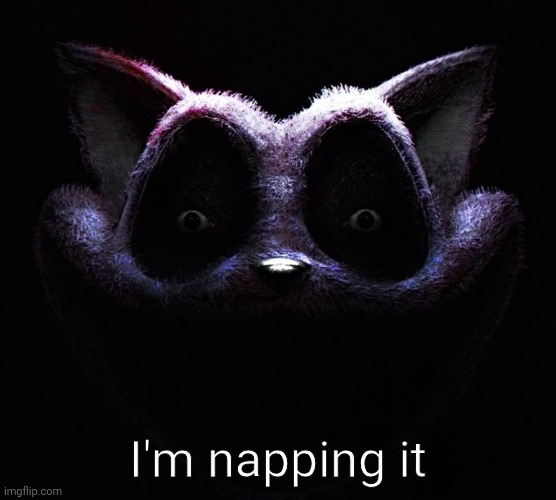 Catnap | I'm napping it | image tagged in catnap | made w/ Imgflip meme maker