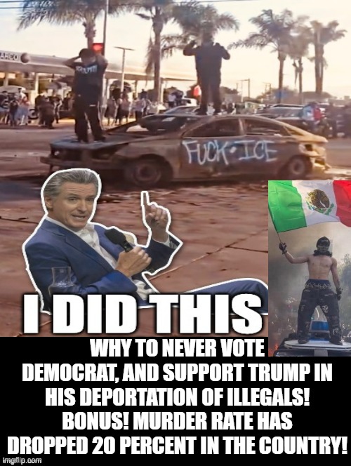 Why to never vote Democrat! | WHY TO NEVER VOTE DEMOCRAT, AND SUPPORT TRUMP IN HIS DEPORTATION OF ILLEGALS! BONUS! MURDER RATE HAS DROPPED 20 PERCENT IN THE COUNTRY! | image tagged in roll safe think about it,sam elliott special kind of stupid,stupid liberals | made w/ Imgflip meme maker