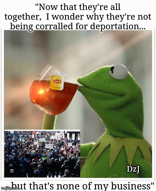 We got them all in one place! HELLO?!? | "Now that they're all together,  I wonder why they're not being corralled for deportation... DzJ; - but that's none of my business" | image tagged in deportation,all,illegal immigrants,angry aliens,now | made w/ Imgflip meme maker