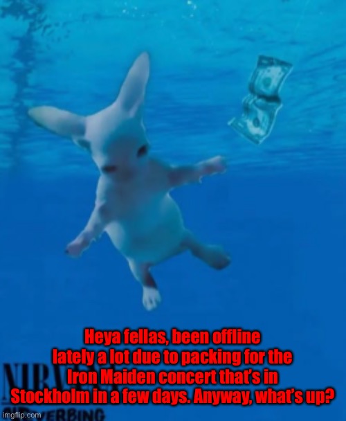 It’s soon my birthday, crazy. | Heya fellas, been offline lately a lot due to packing for the Iron Maiden concert that’s in Stockholm in a few days. Anyway, what’s up? | image tagged in bingus nirvana | made w/ Imgflip meme maker