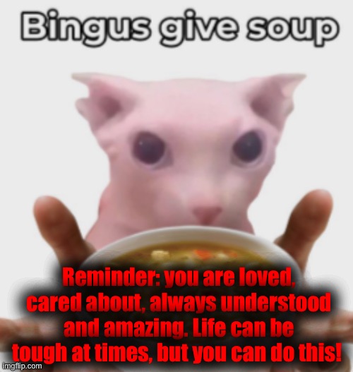 bingus give soap (Ada: amen) | Reminder: you are loved, cared about, always understood and amazing. Life can be tough at times, but you can do this! | image tagged in bingus give soup | made w/ Imgflip meme maker