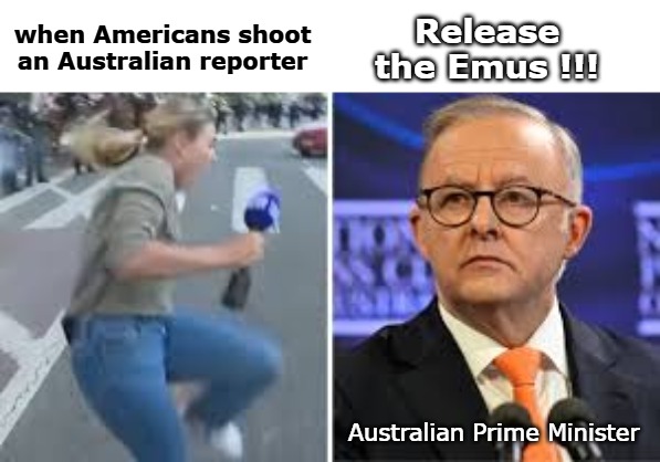 Release the Emus !!! when Americans shoot an Australian reporter; Australian Prime Minister | image tagged in the peckers are here | made w/ Imgflip meme maker