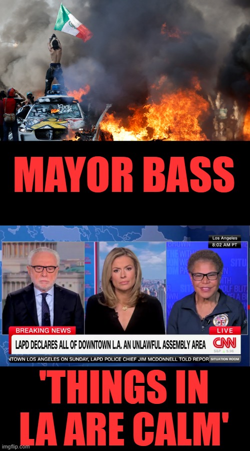 HAVE they forgot already how she let Palasaids burn to the ground? | MAYOR BASS; 'THINGS IN LA ARE CALM' | made w/ Imgflip meme maker