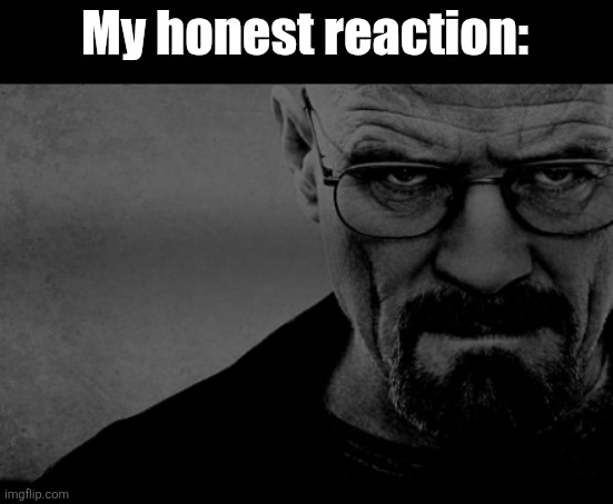 Walter White | My honest reaction: | image tagged in walter white | made w/ Imgflip meme maker
