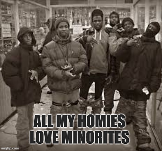 The one and only post of the "Racist" stream | ALL MY HOMIES LOVE MINORITES | made w/ Imgflip meme maker