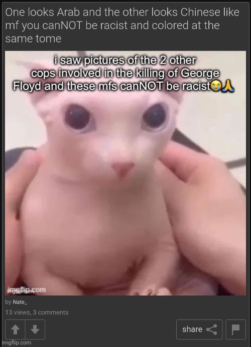 "You cannot be racist and colored at the same tome" | made w/ Imgflip meme maker