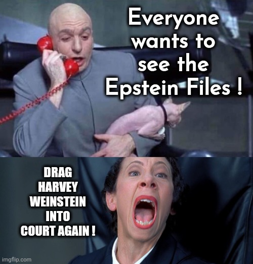 Hey , look over here | Everyone wants to see the Epstein Files ! DRAG HARVEY WEINSTEIN INTO COURT AGAIN ! | image tagged in dr evil and frau,diversion,this guy,smoke screen,sheeple,are you not entertained | made w/ Imgflip meme maker