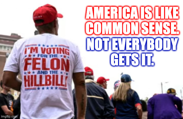 There but for the roll of the genetic dice go we. | AMERICA IS LIKE
COMMON SENSE. NOT EVERYBODY
GETS IT. | image tagged in memes,common sense,hooliganism,america,felonious d | made w/ Imgflip meme maker