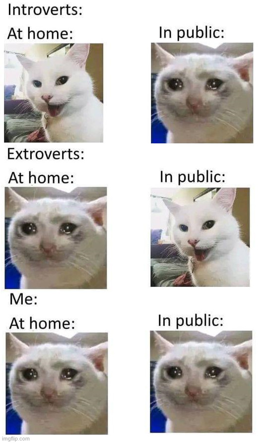 At home and in public | image tagged in repost | made w/ Imgflip meme maker