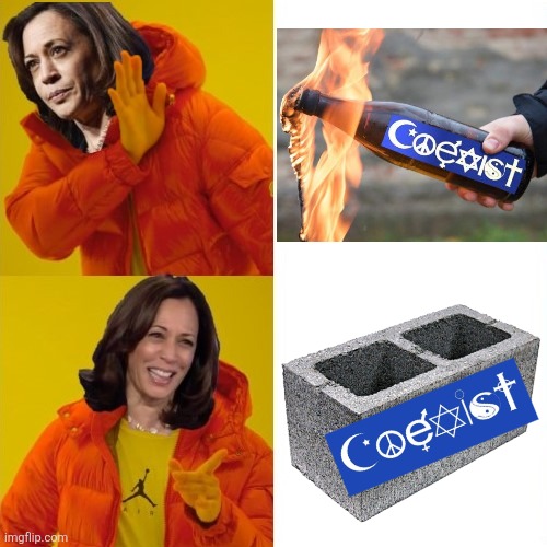 LA right now | image tagged in kamala harris hotline bling,coexist molotov cocktail,coexist cinderblock,democrats,los angeles riots,memes | made w/ Imgflip meme maker