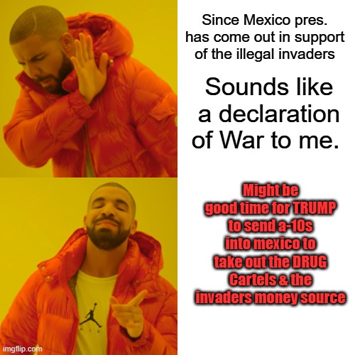 When a countries pres. support a invasion into another country, is that not a declaration of WAR ? | Since Mexico pres. has come out in support of the illegal invaders; Sounds like a declaration of War to me. Might be good time for TRUMP to send a-10s into mexico to take out the DRUG Cartels & the invaders money source | image tagged in memes,drake hotline bling | made w/ Imgflip meme maker
