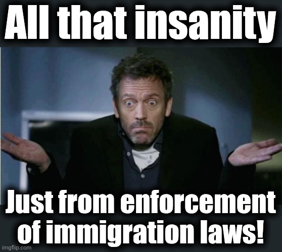 SHRUG | All that insanity Just from enforcement
of immigration laws! | image tagged in shrug | made w/ Imgflip meme maker