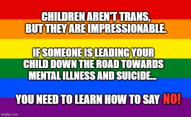 Be the parent! | CHILDREN AREN'T TRANS, 
BUT THEY ARE IMPRESSIONABLE. IF SOMEONE IS LEADING YOUR CHILD DOWN THE ROAD TOWARDS MENTAL ILLNESS AND SUICIDE... YOU NEED TO LEARN HOW TO SAY; NO! | image tagged in gay flag,pride month,common sense,mental illness,jesus saves | made w/ Imgflip meme maker