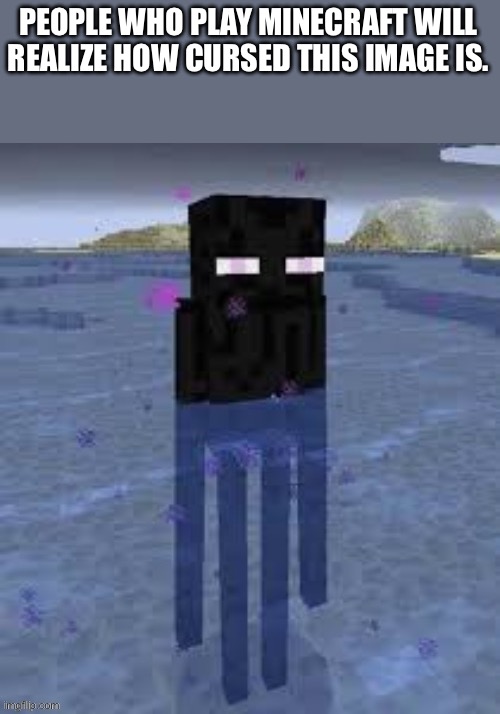 Cursed Enderman | PEOPLE WHO PLAY MINECRAFT WILL REALIZE HOW CURSED THIS IMAGE IS. | image tagged in cursed enderman | made w/ Imgflip meme maker